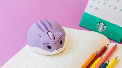 하드뮤 최저가 득템! 내돈내산 후기와 꿀팁 대방출 🎉